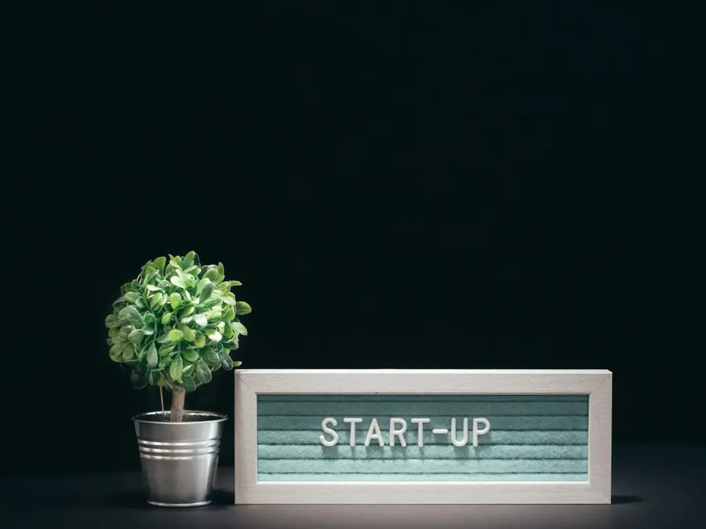 new business web